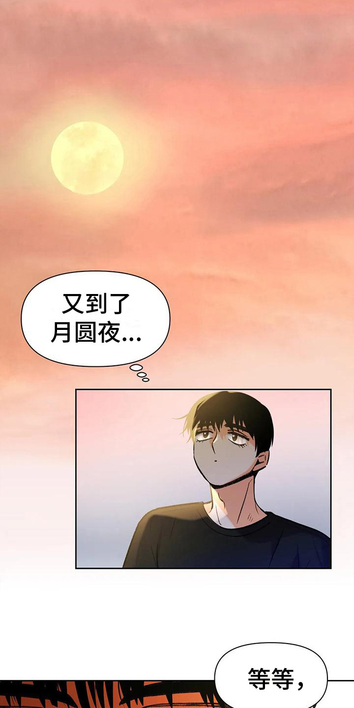 第16章：出事了3