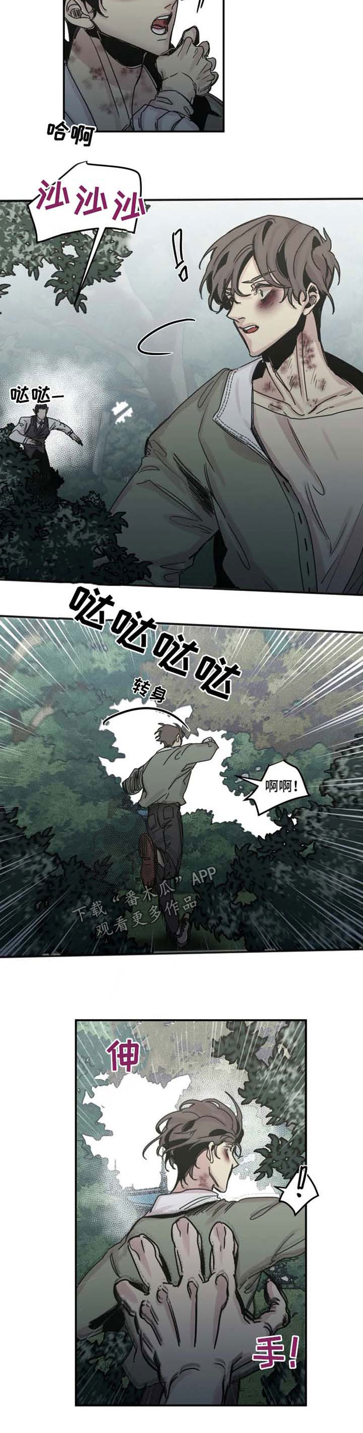 第41章：追杀1
