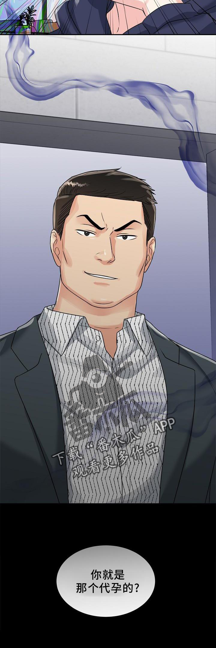 第29章：代孕1