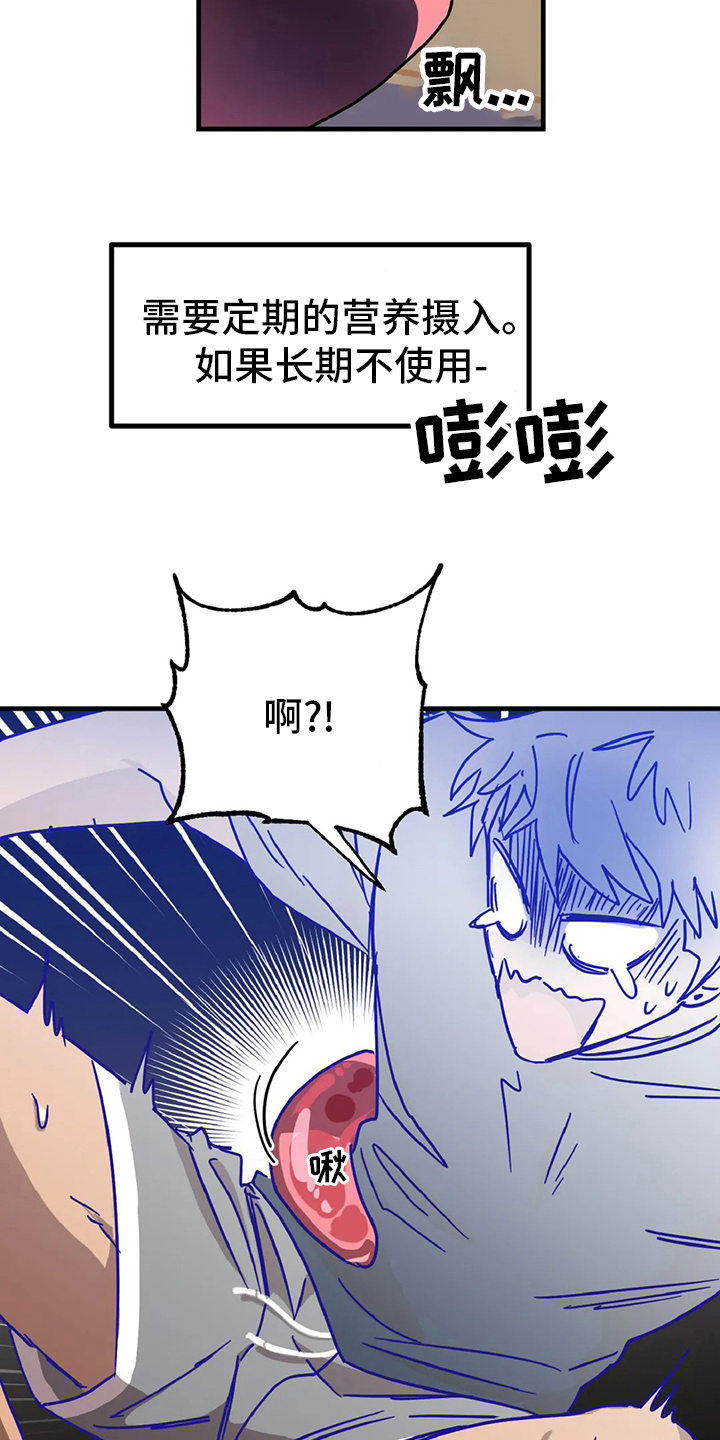 第21章：挑衅3