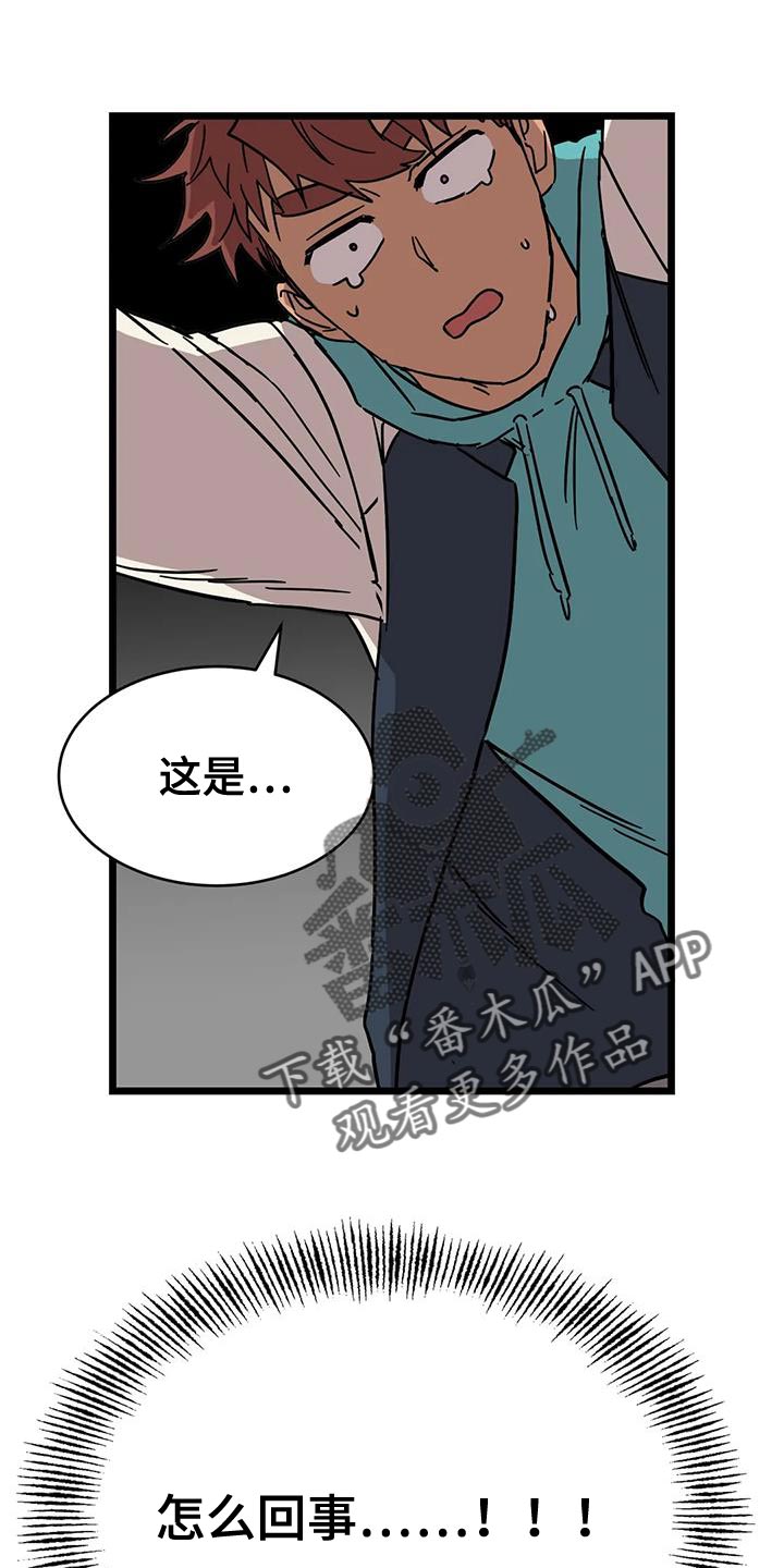 第64章：【番外】赶紧找找3