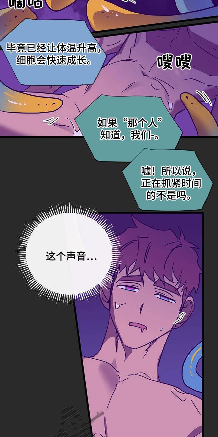 第46章：爱的结晶2