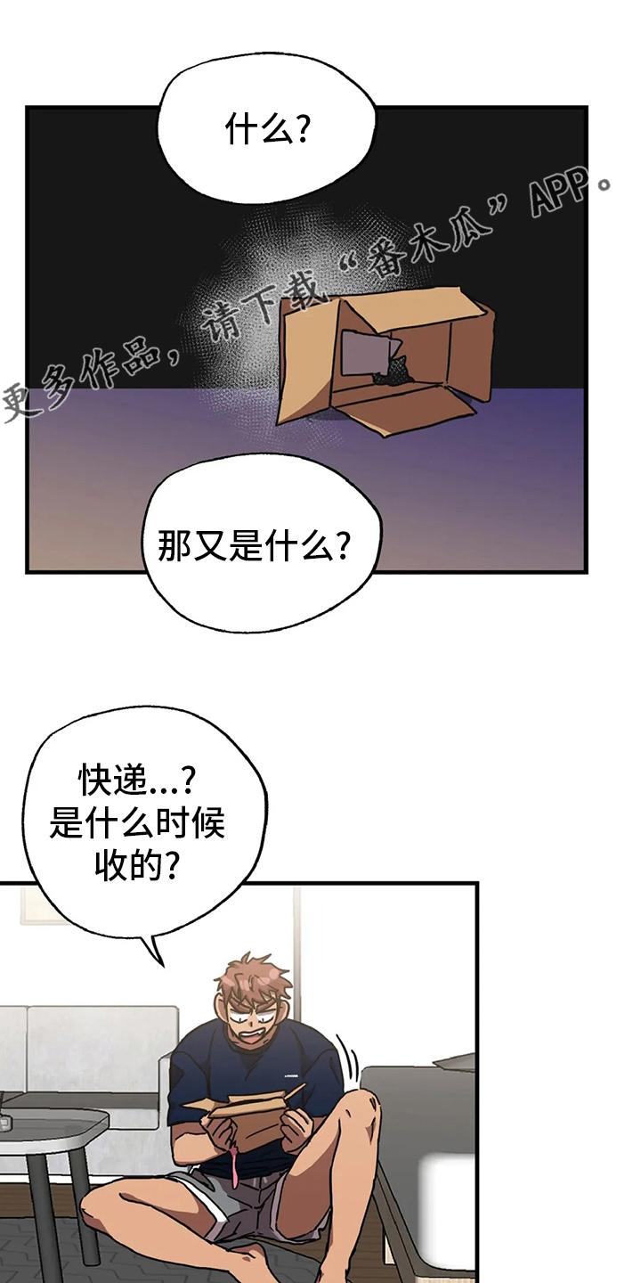 第21章：挑衅0