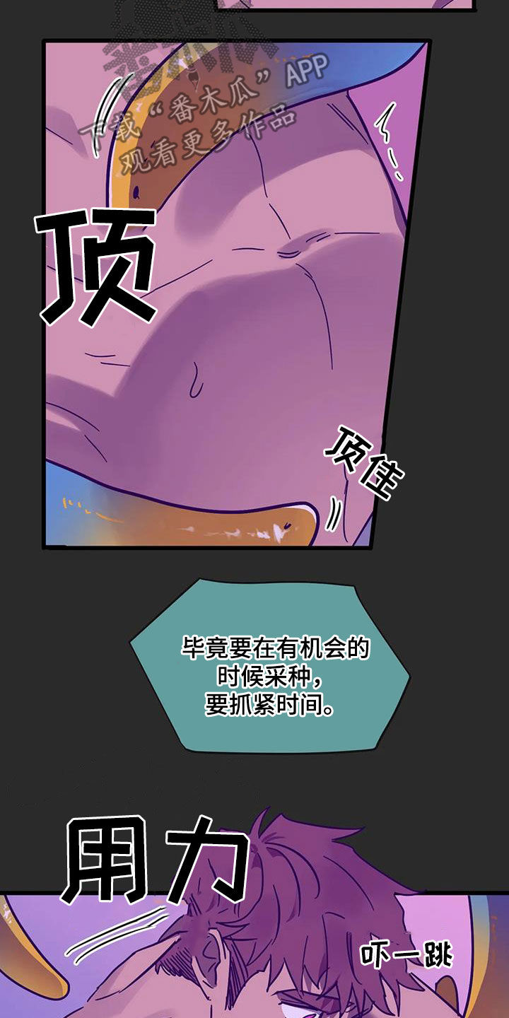 第46章：爱的结晶3