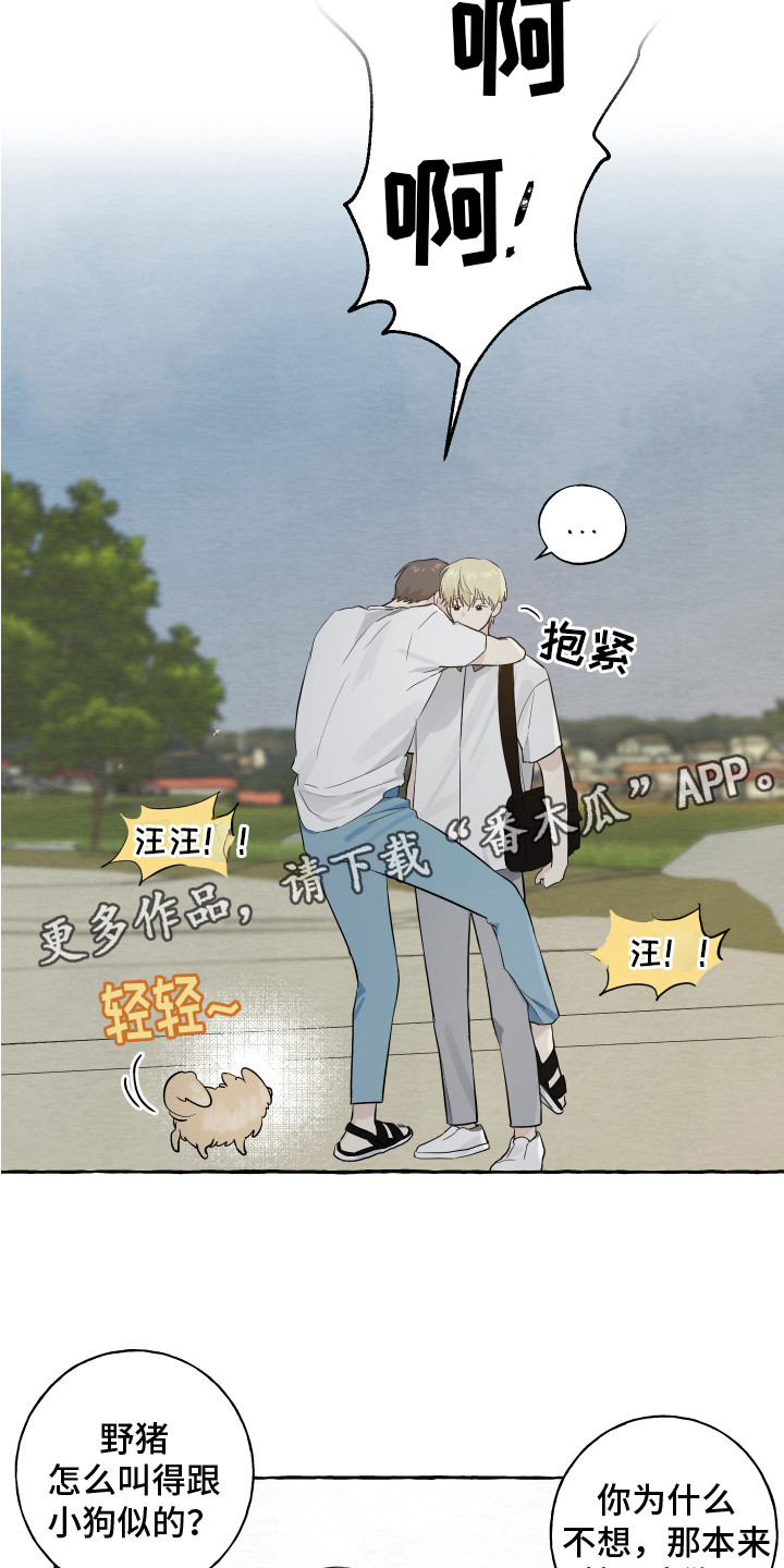 第8章：小狗4