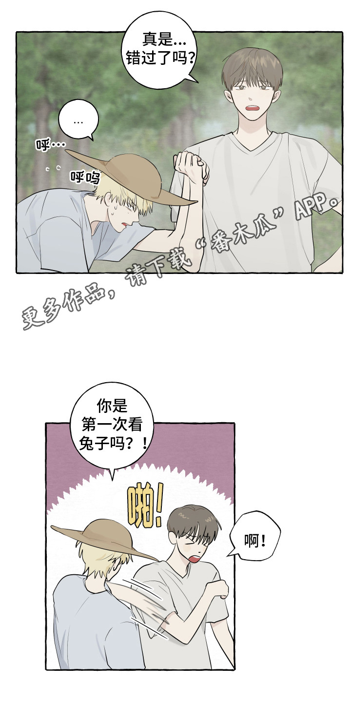第13章：充满活力4