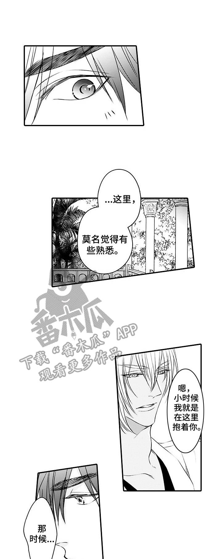 第25章：戒指0