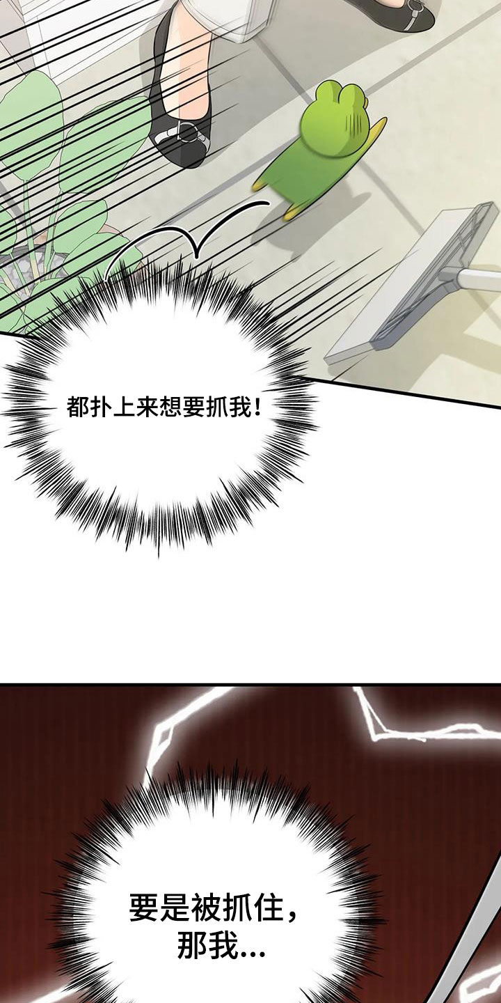第28章：狡猾的人类3