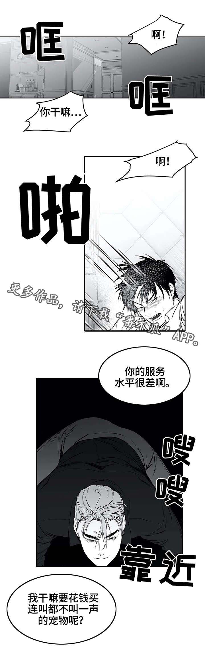 第26章：空白4