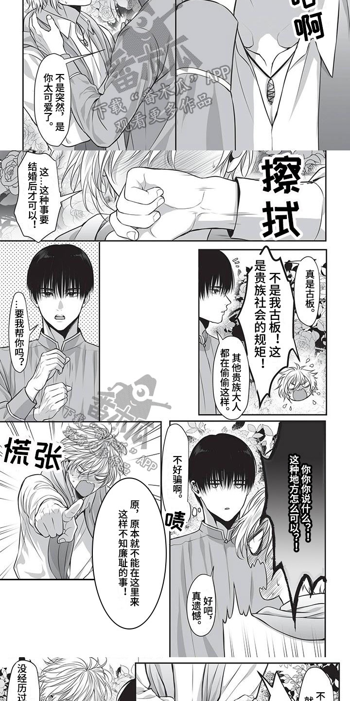 第21章：冒犯3
