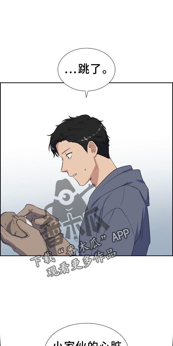 第42章：救助3