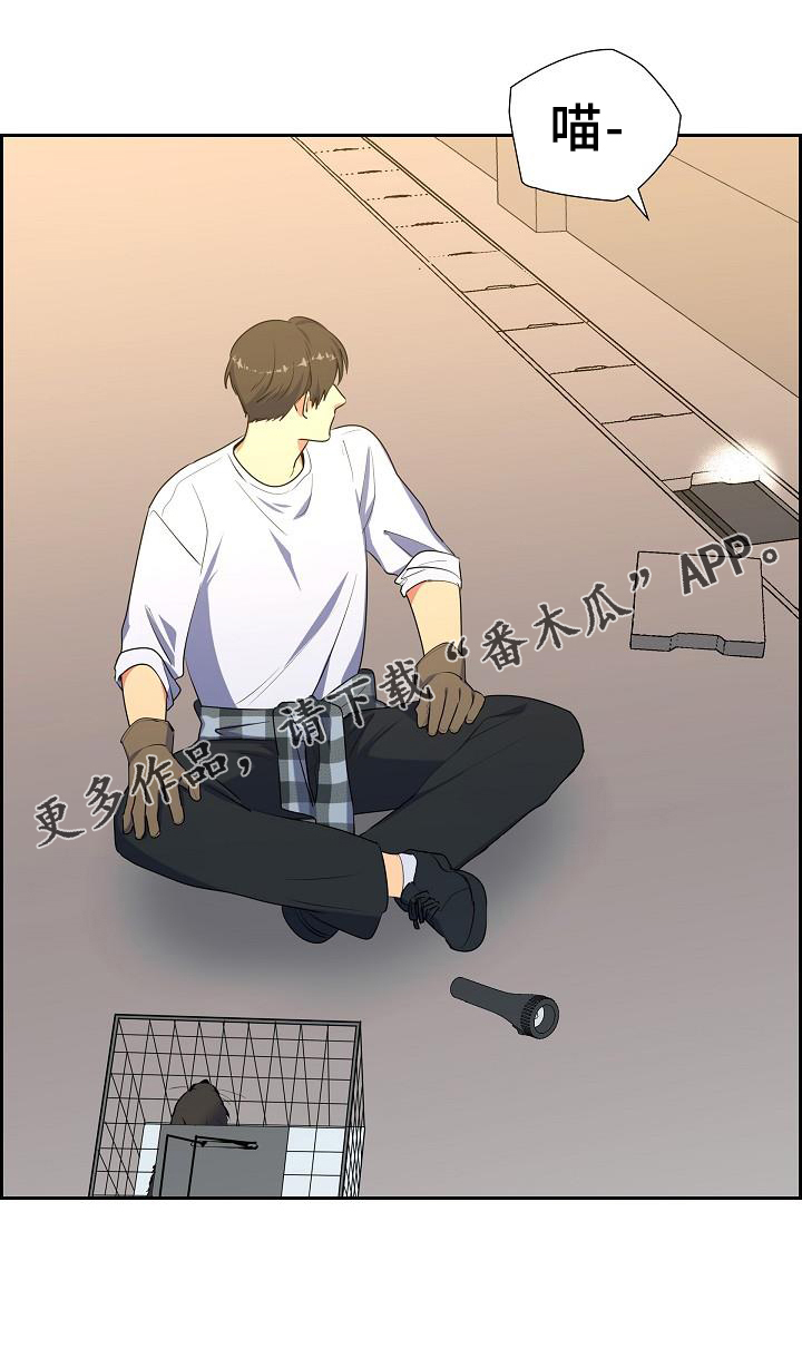 第41章：捕获4