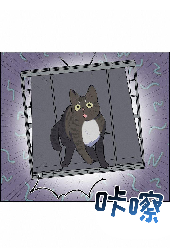 第41章：捕获0