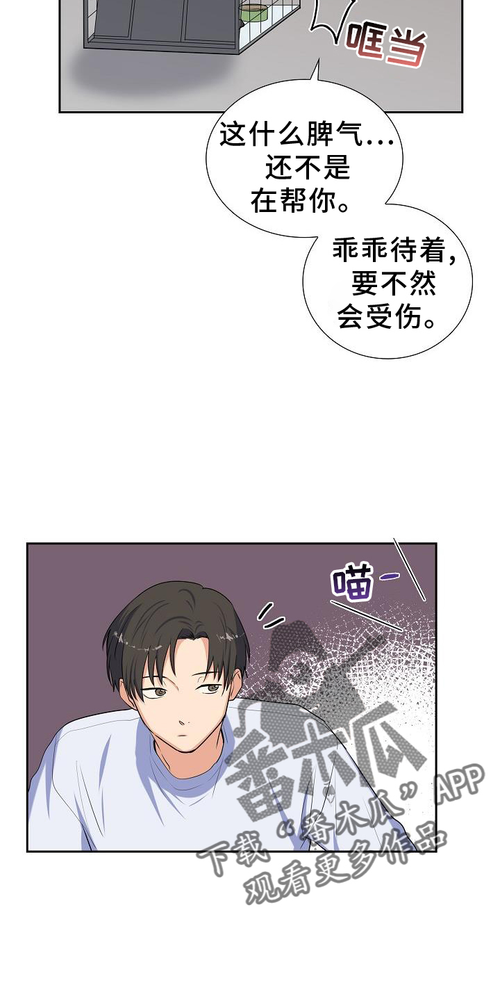 第41章：捕获3