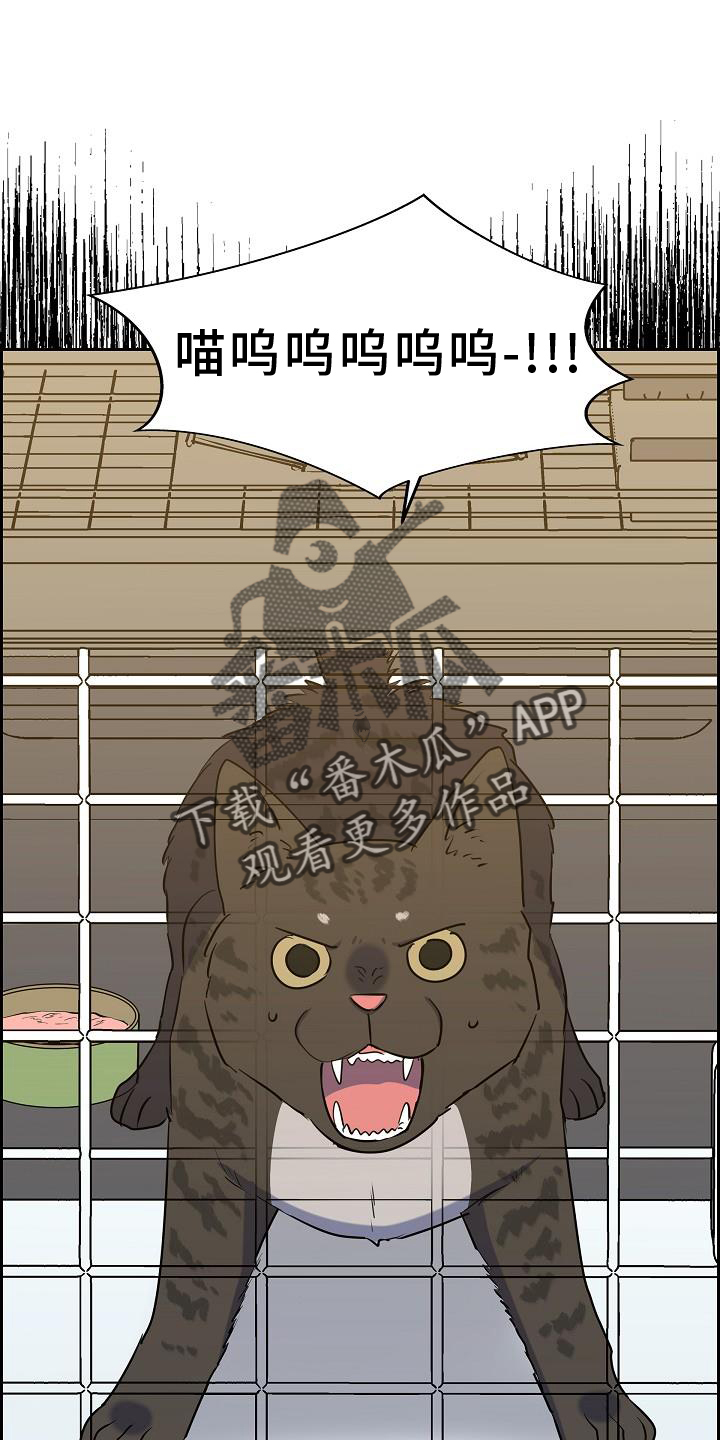第41章：捕获1