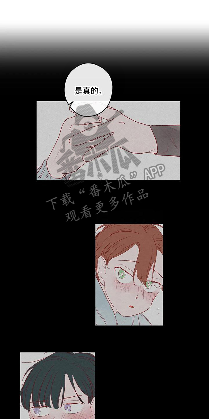 第37章：归属0