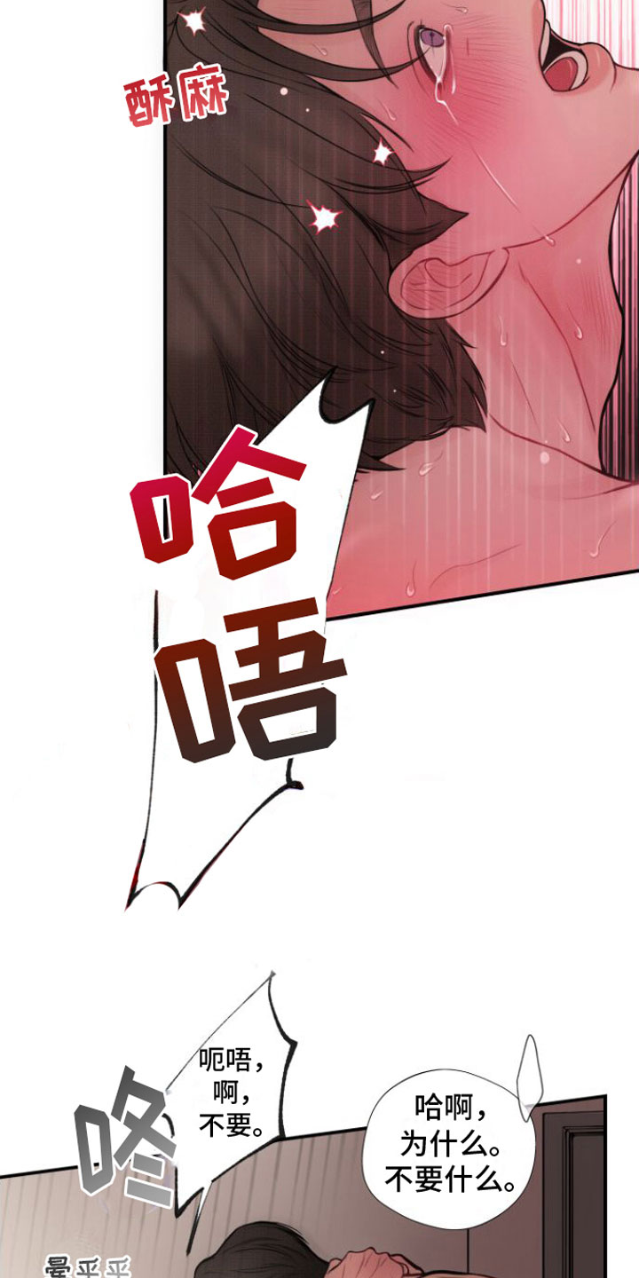 第15章：真好看4