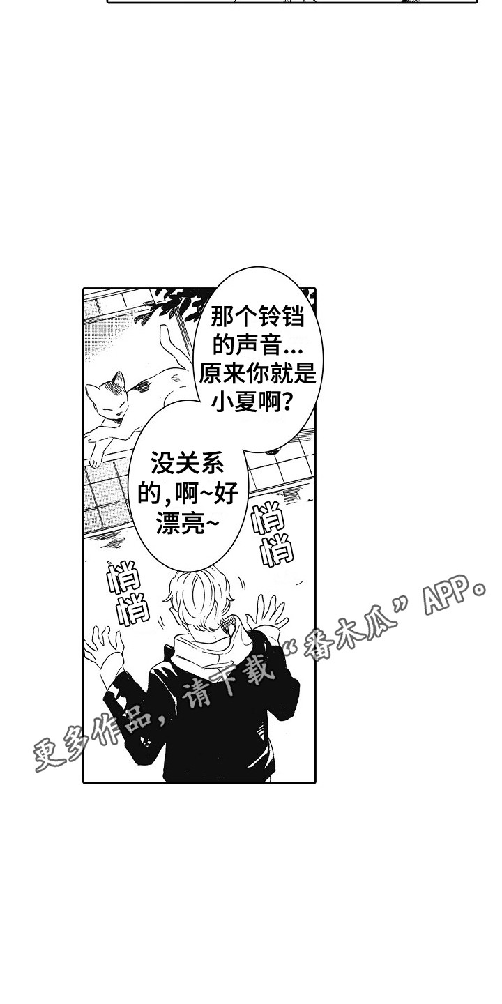 第17章：特权4