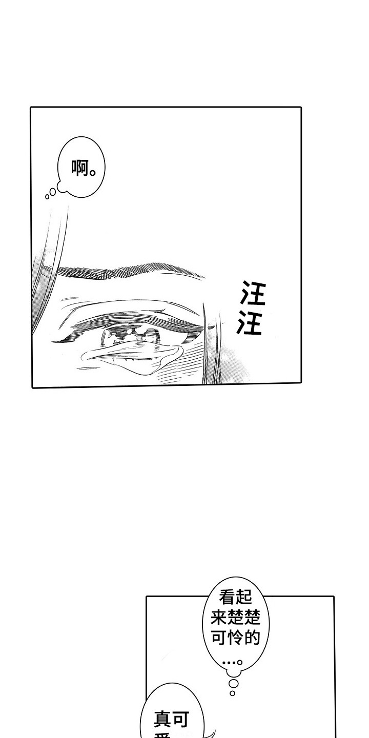 第31章：猫咪2