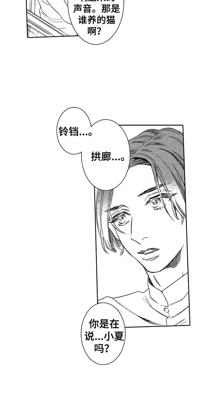 第3章：拱廊4