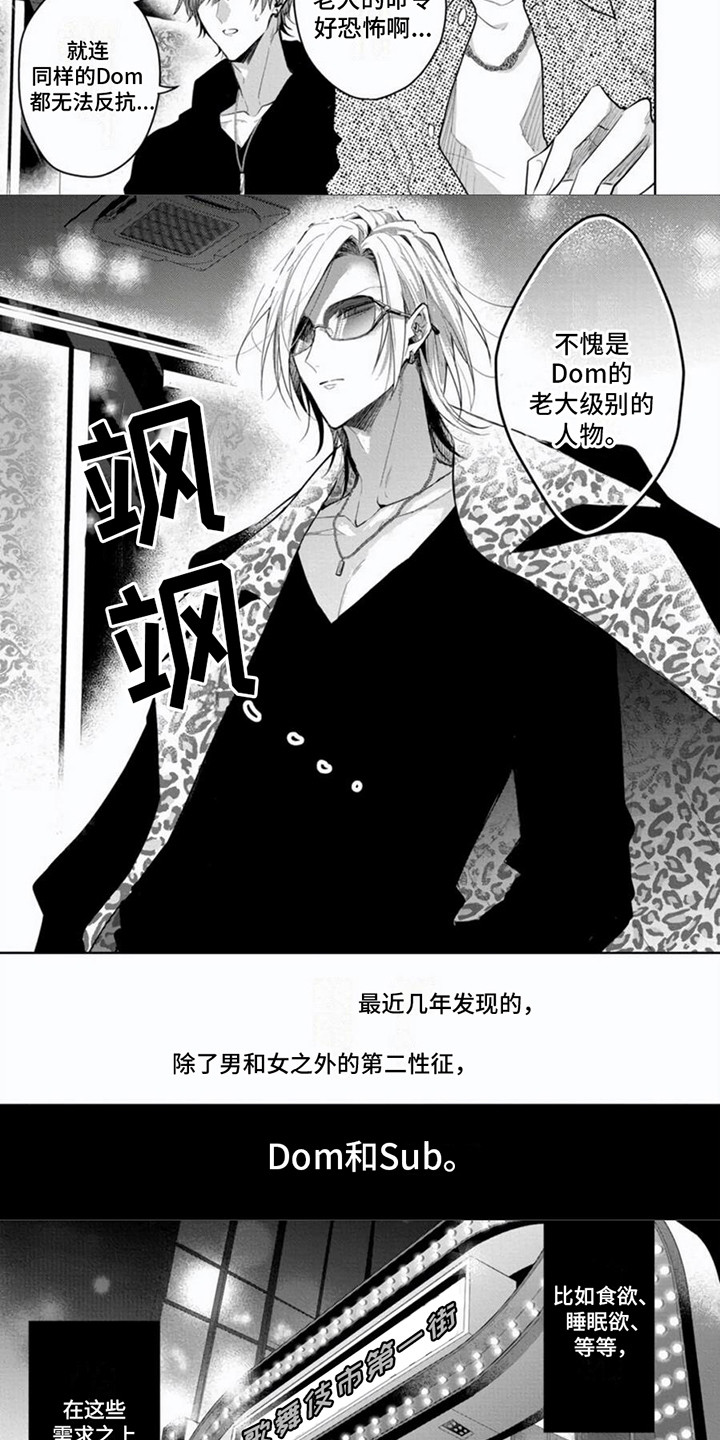 第1章：支配者2