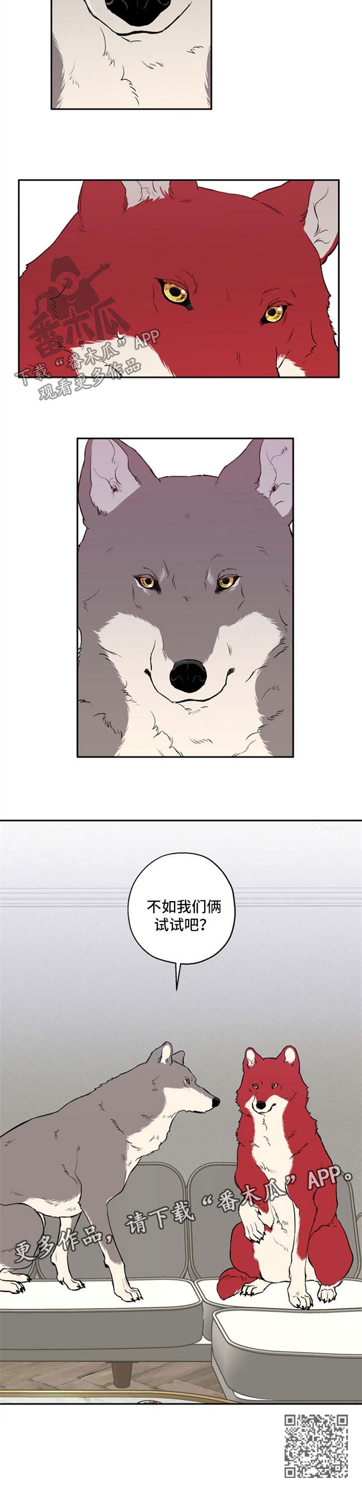 第34章：不如我们俩试试4
