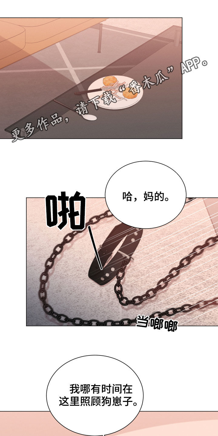 第24章：名贵的种类0
