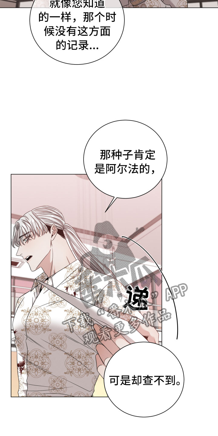 第13章：报告2