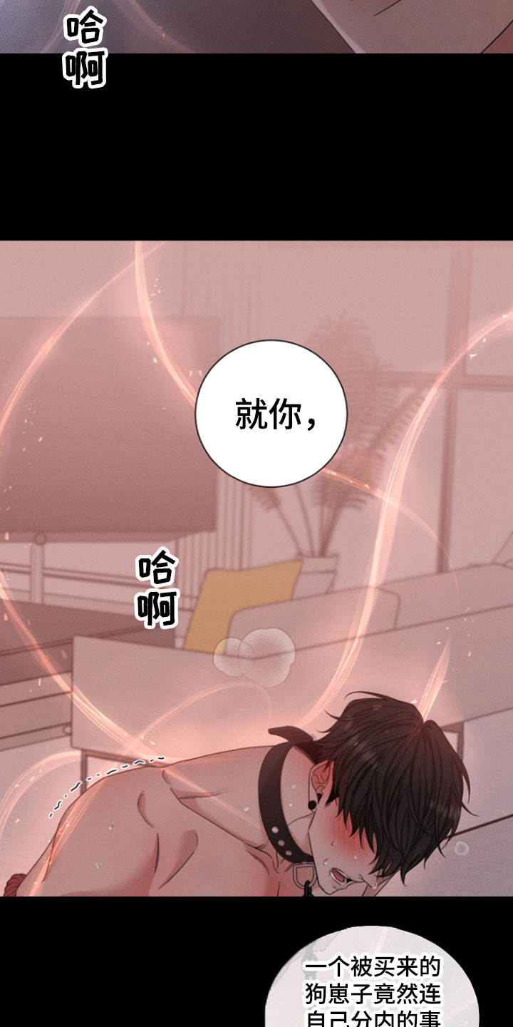 第1章：朴社长4