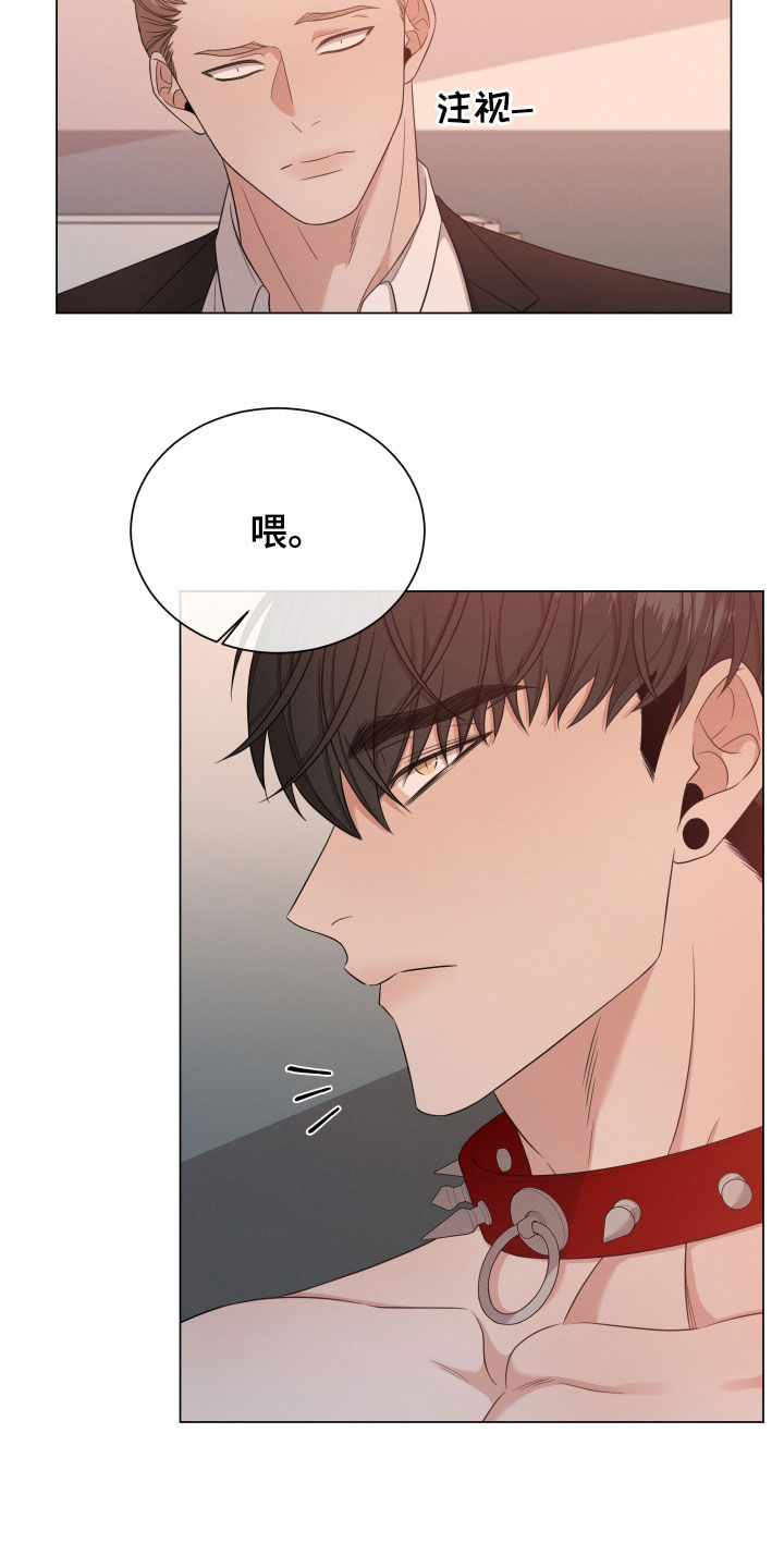 第24章：名贵的种类3