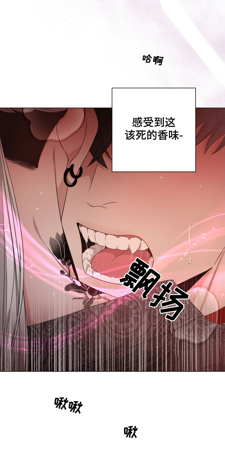 第28章：特征消失4