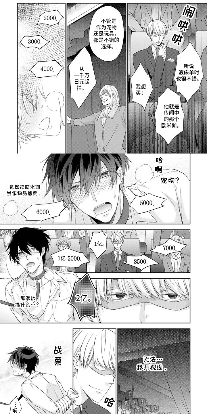 第2章：拍卖0
