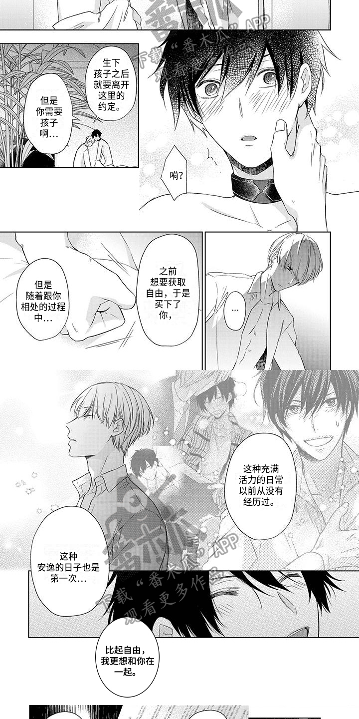 第19章：选择4
