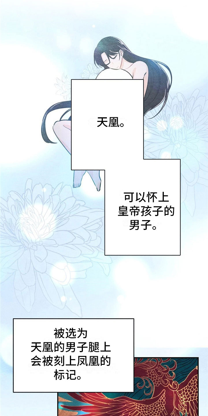 第2章：天凰0