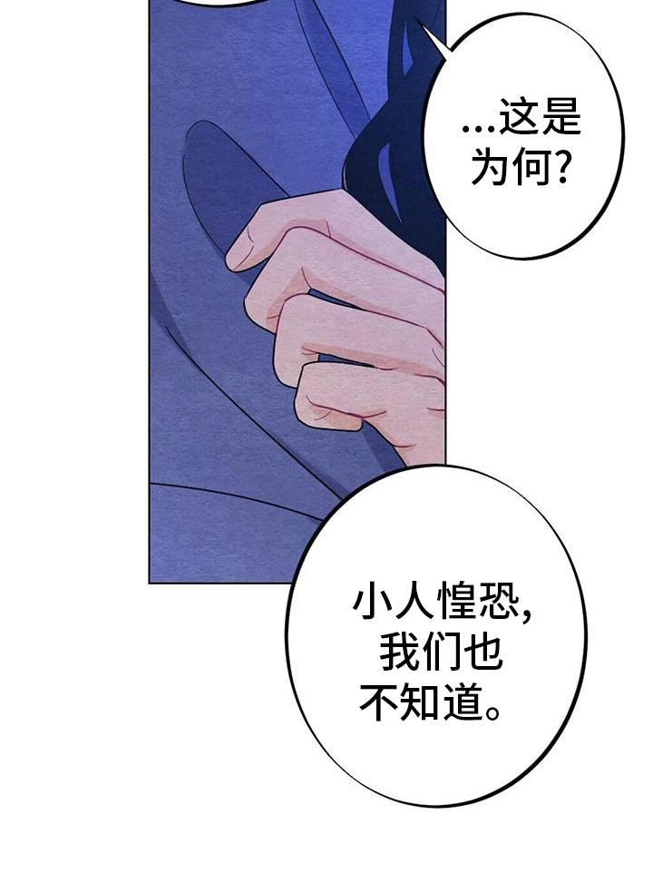 第33章：怎么办3
