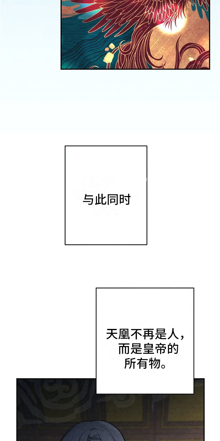 第2章：天凰1