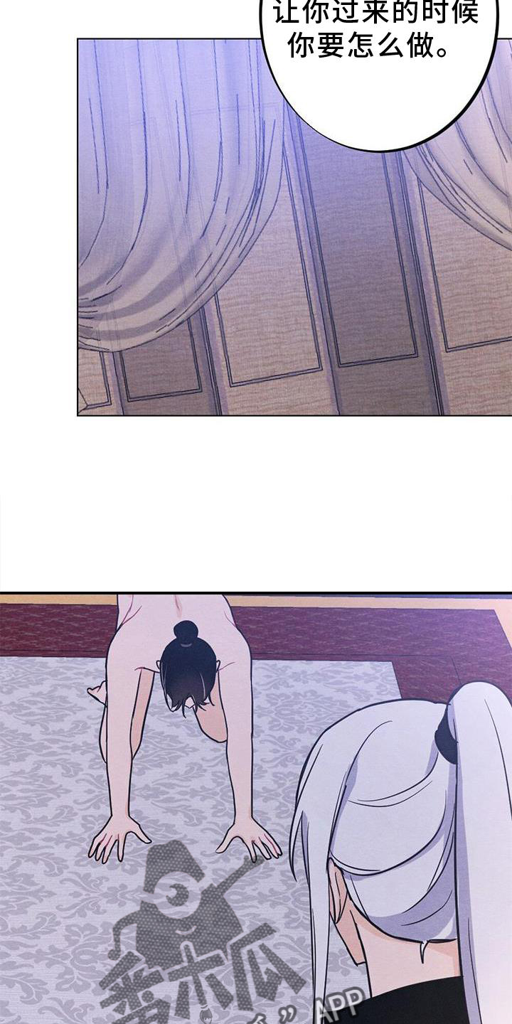 第40章：表现1