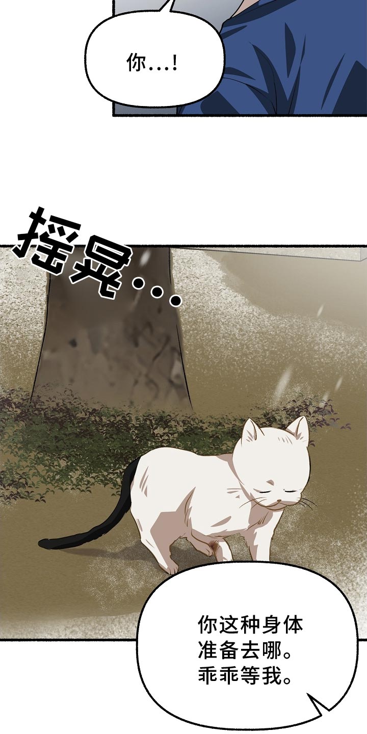 第200章：堆雪人2