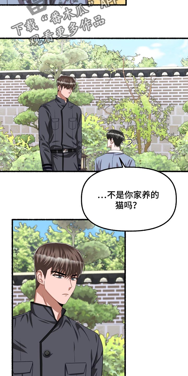 第124章：喂猫0