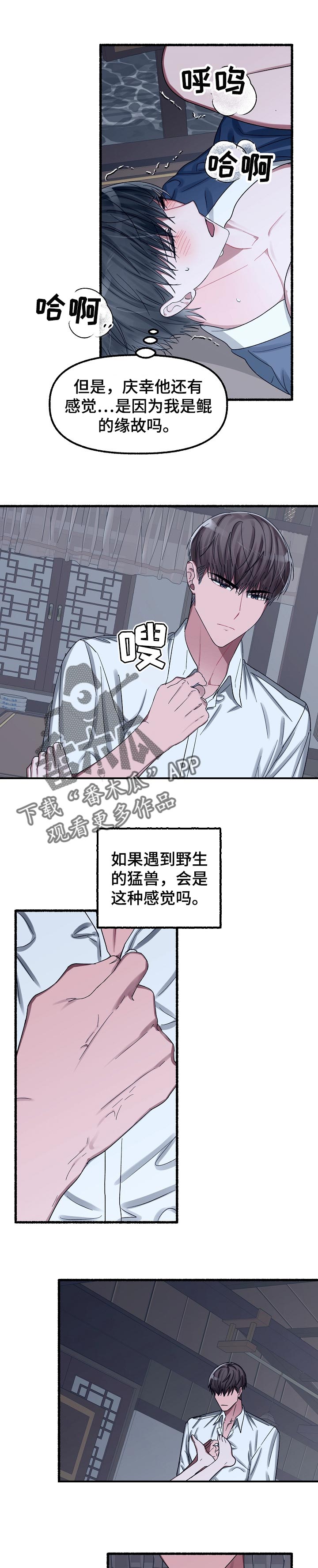 第52章：名字4