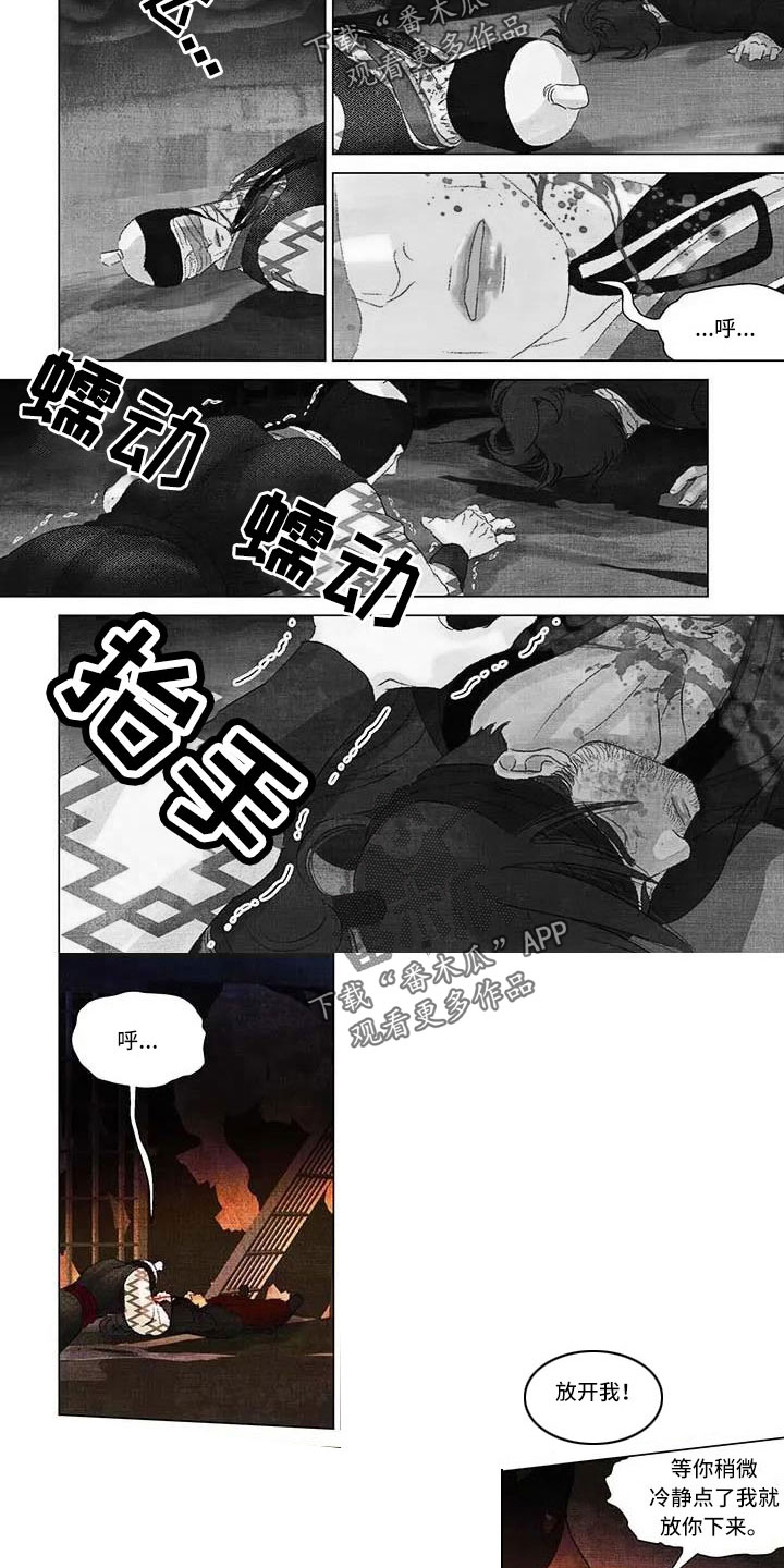 第62章：我的马1
