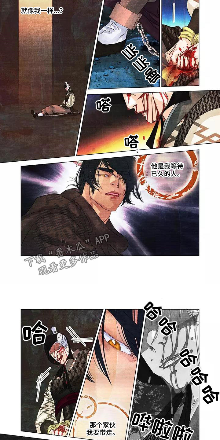 第33章：逃亡3