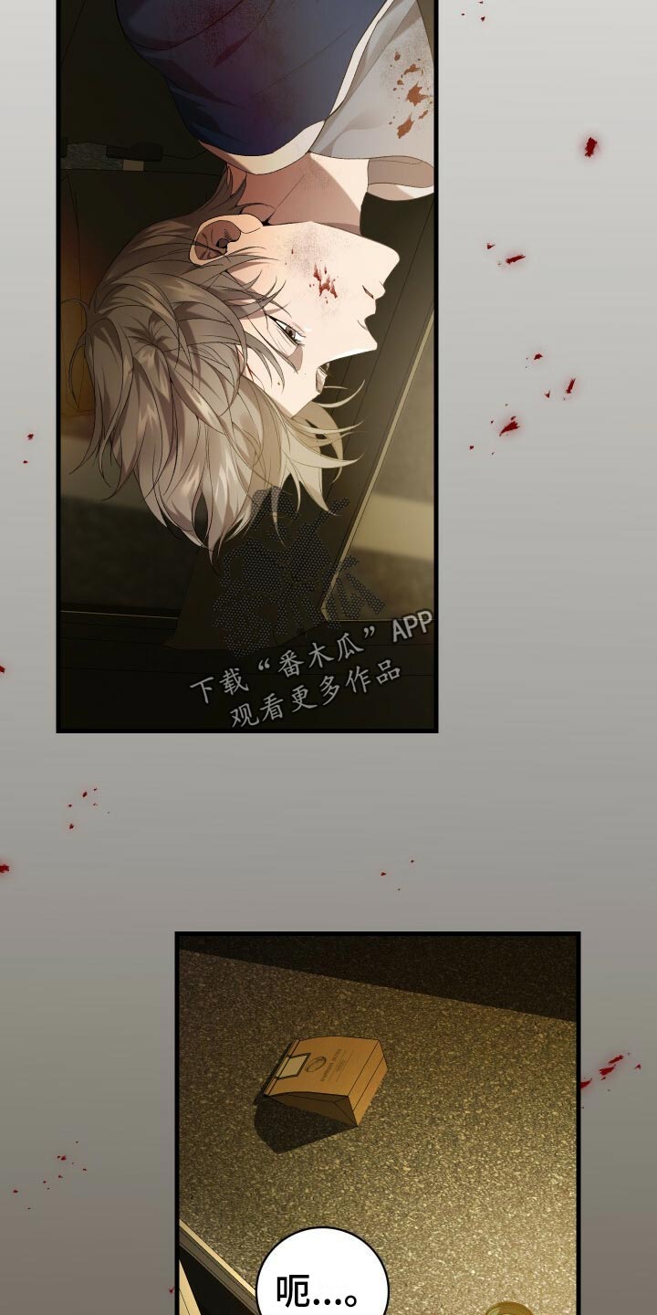 第61章：不完美1
