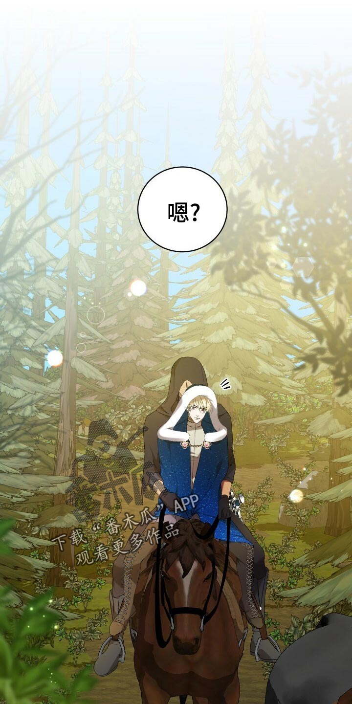 第51章：数据2