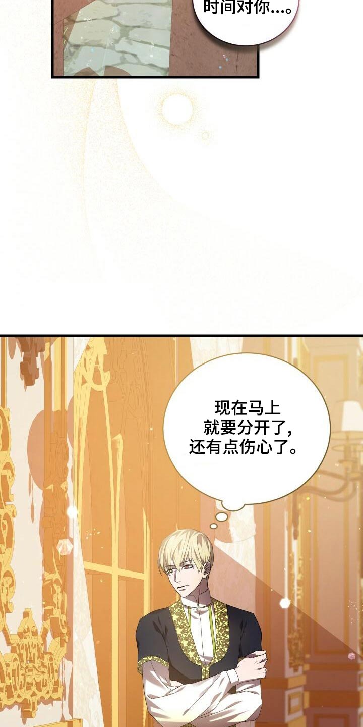 第84章：我的哥哥4
