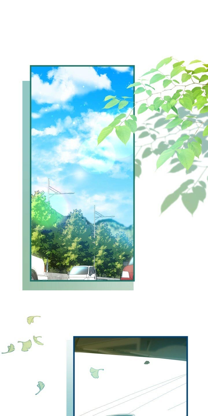 第61章：不完美0