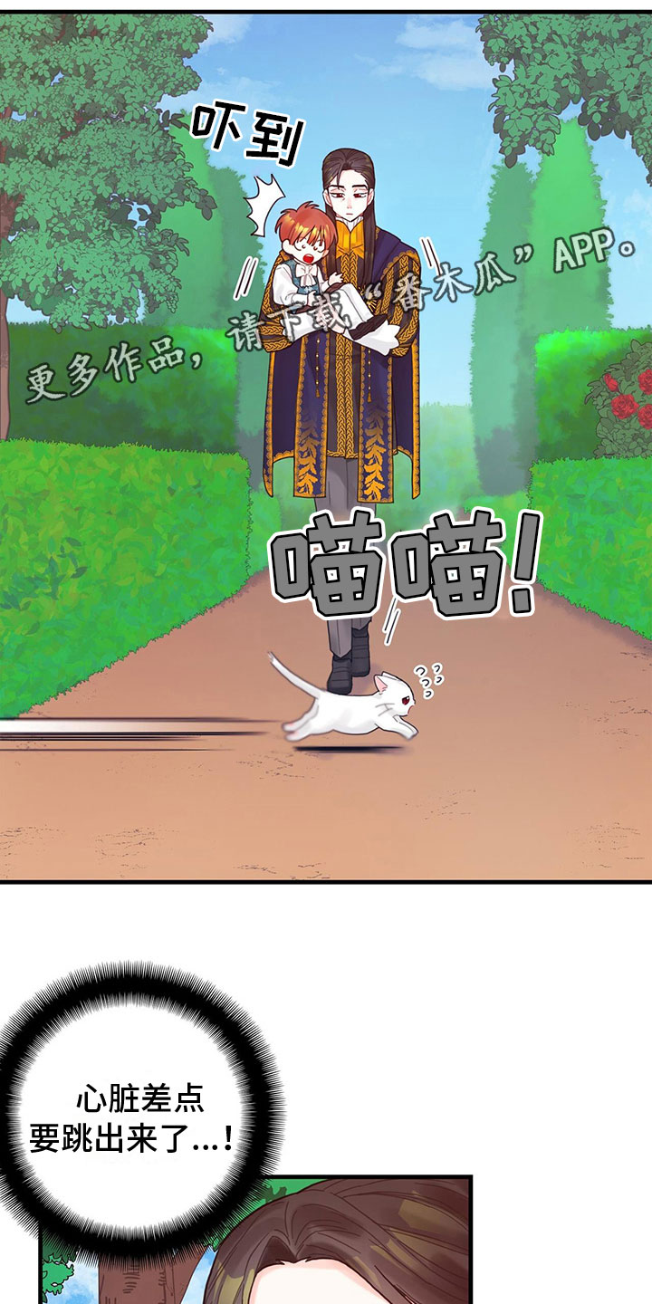 第12章：四皇子0