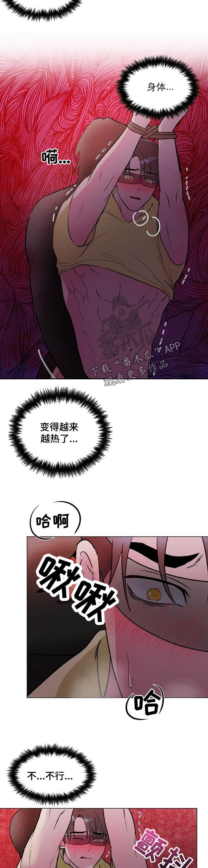 第36章：药效4