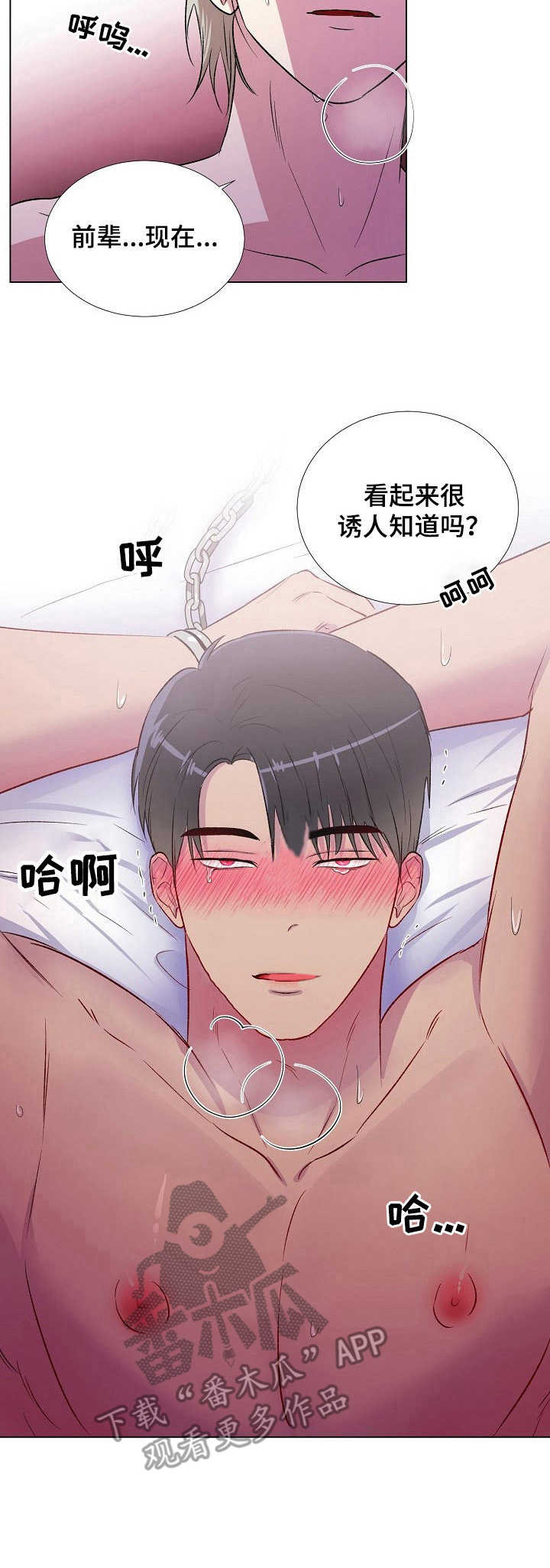第13章：兴趣2