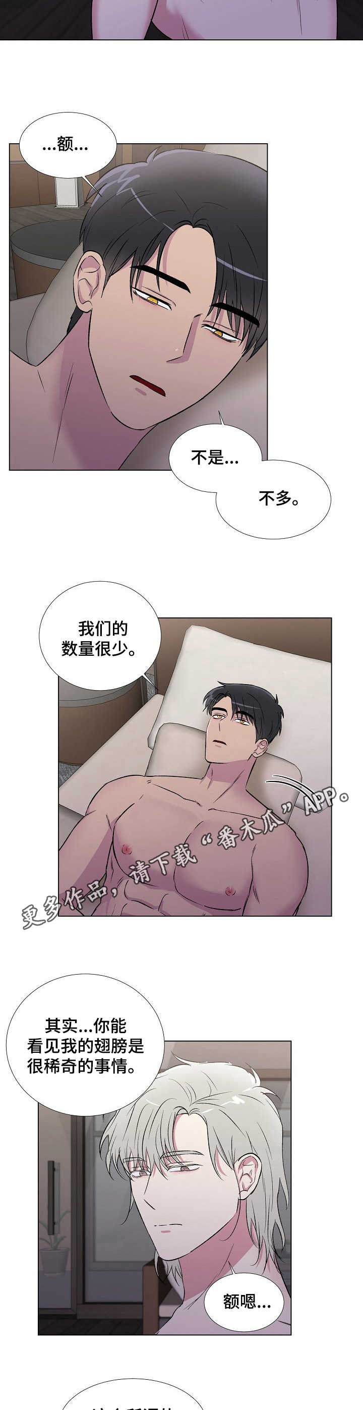 第13章：兴趣4